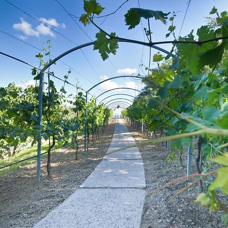 Agriturismo Il Vecchio Mandorlo Perugia Bagian luar foto