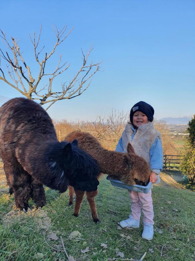 Agriturismo Il Vecchio Mandorlo Perugia Bagian luar foto