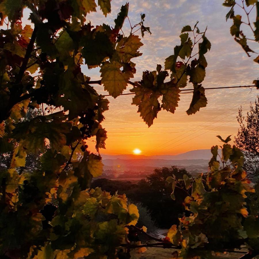 Agriturismo Il Vecchio Mandorlo Perugia Bagian luar foto