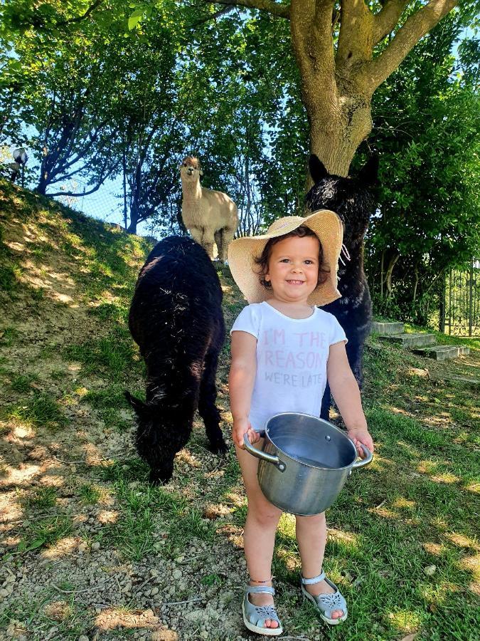 Agriturismo Il Vecchio Mandorlo Perugia Bagian luar foto