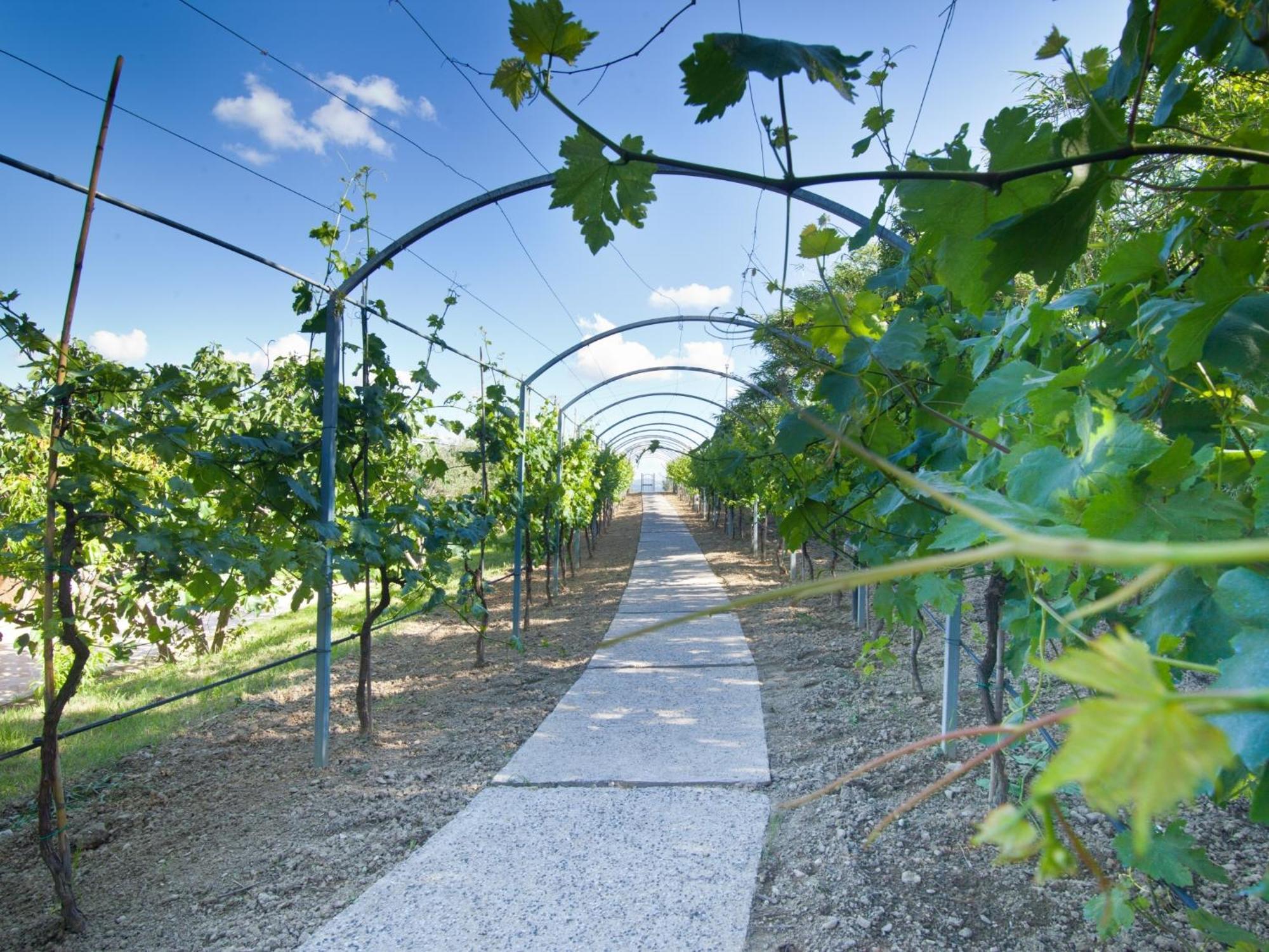 Agriturismo Il Vecchio Mandorlo Perugia Bagian luar foto